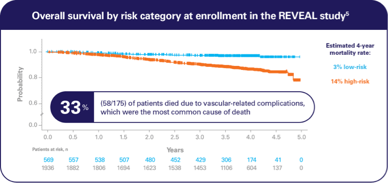 Image that says Overall survival by risk category at enrollment in the REVEAL study